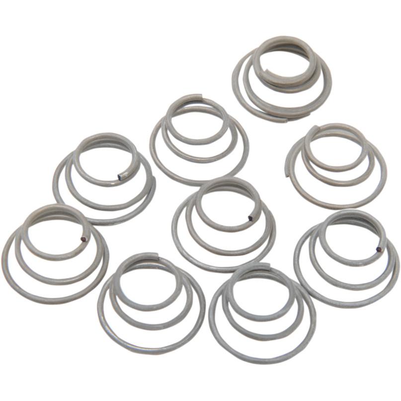 Hub Bearing Plate Retainer Springs
