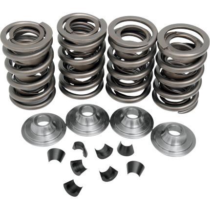 Complete Valve Spring Kit - .415in. Lift