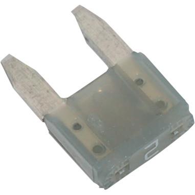 Mini Fuse (2 Amp)