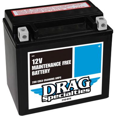 AGM Maintenance-Free Battery