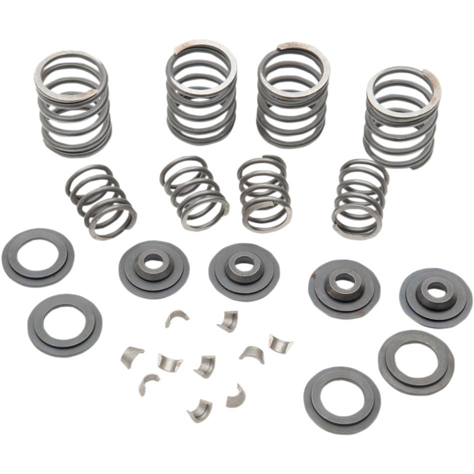 Valve Spring Kit