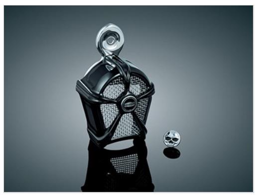 Mach 2 Horn Cover - Gloss Black with Chrome Mesh