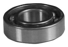 Outer Cam Bearing