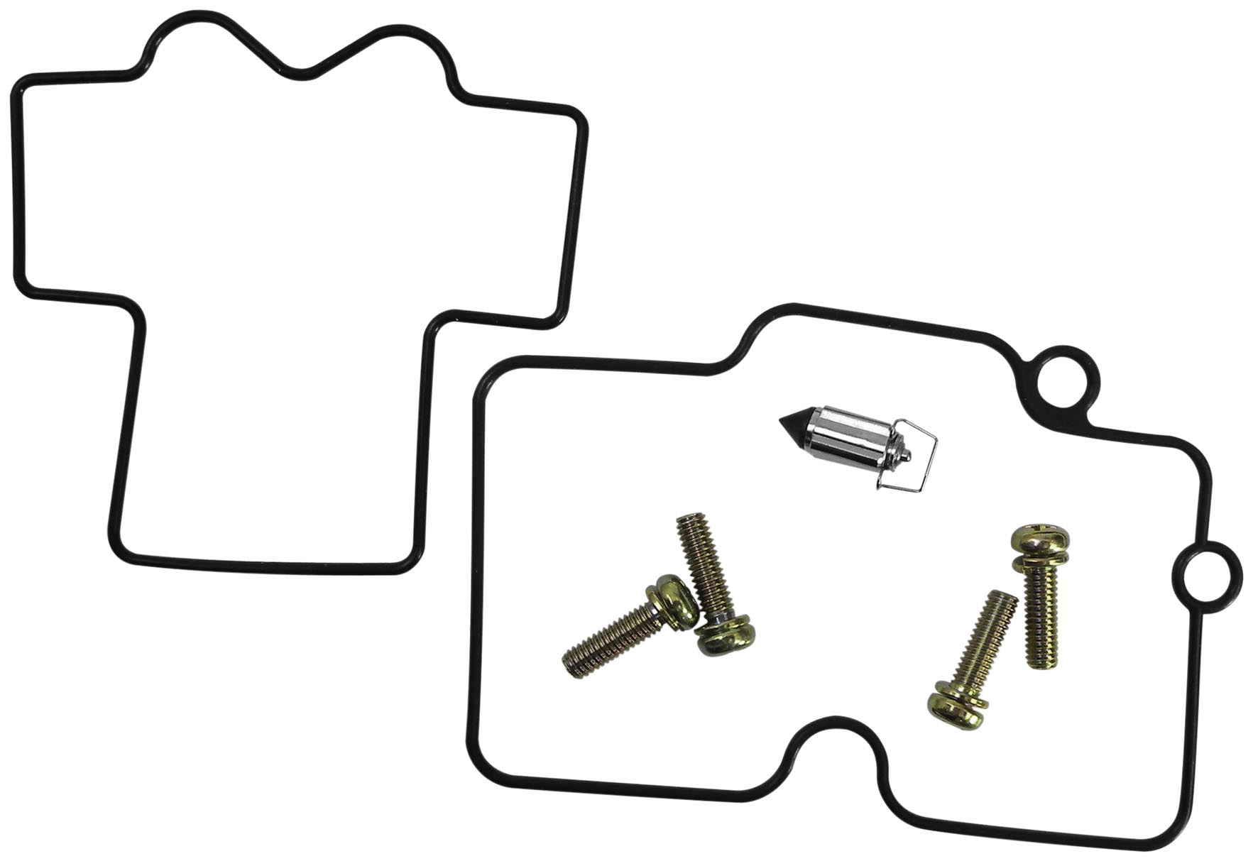 Carburetor Repair Kit