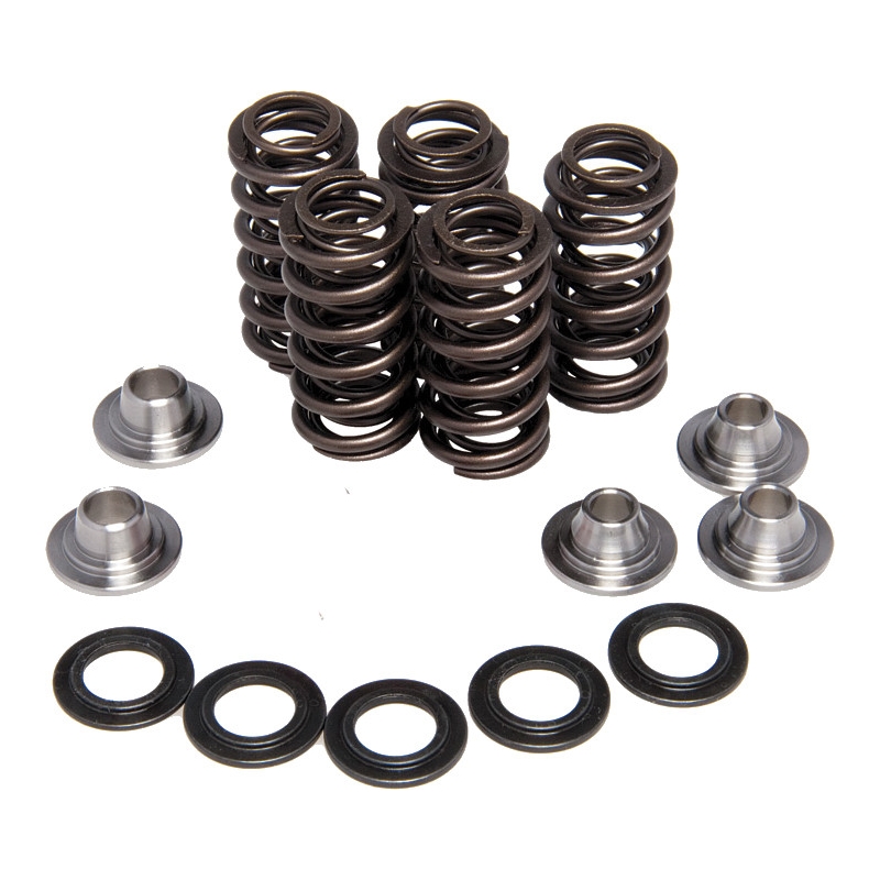 Valve Spring Kit