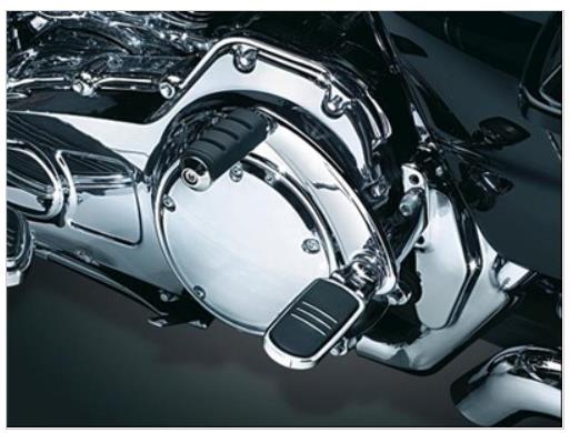 Retractable Passenger Pegs