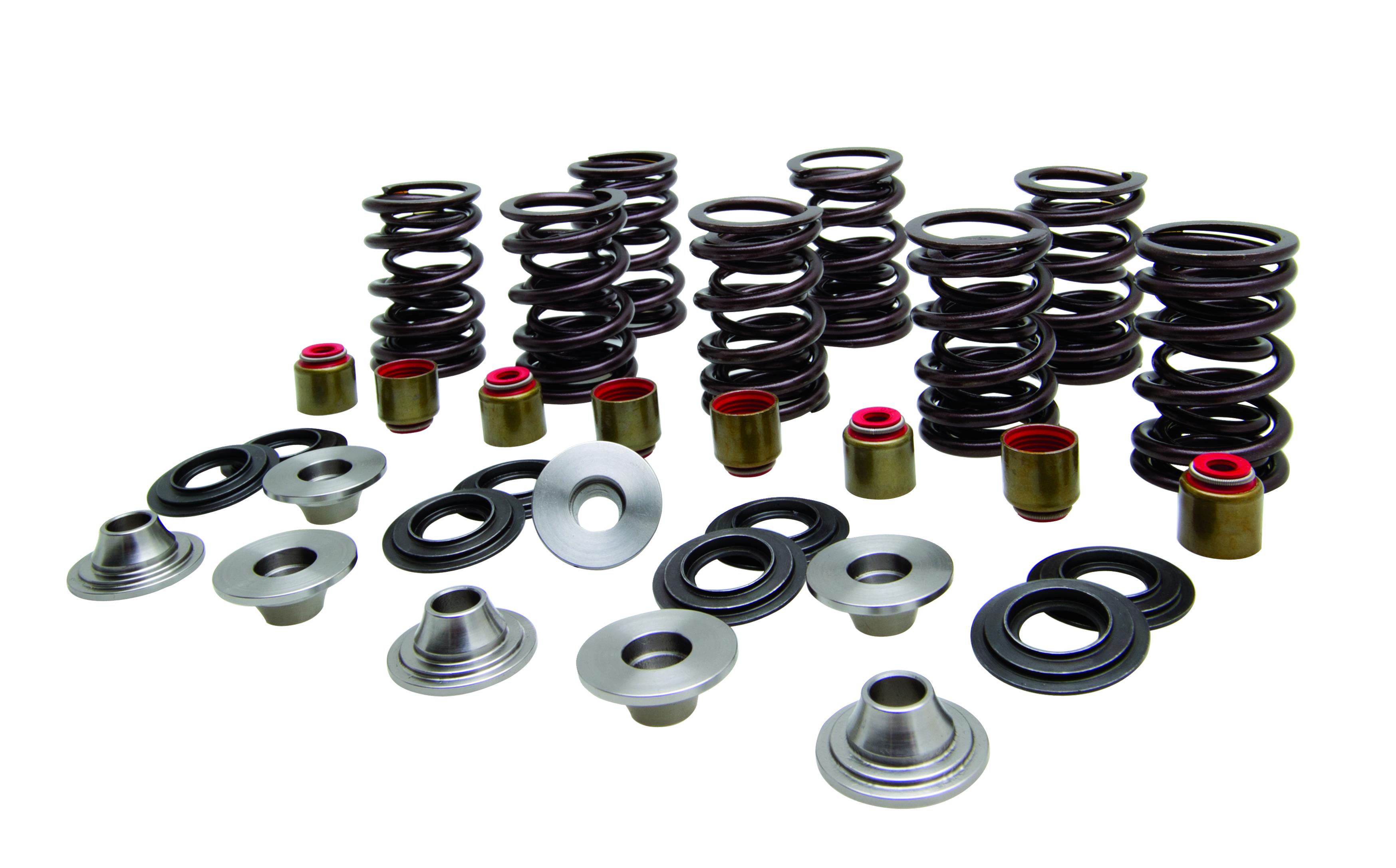 Valve Spring Kit