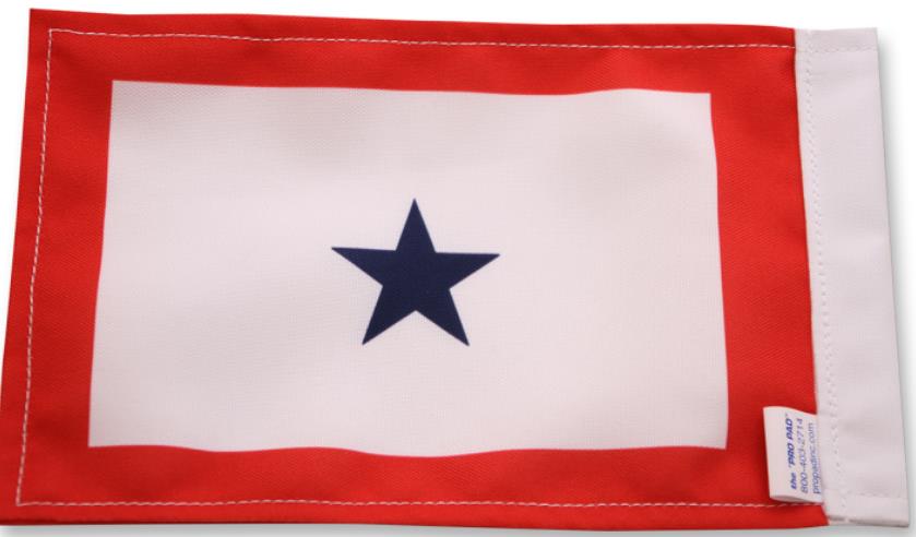 6in. x 9in. Flag - Blue Star