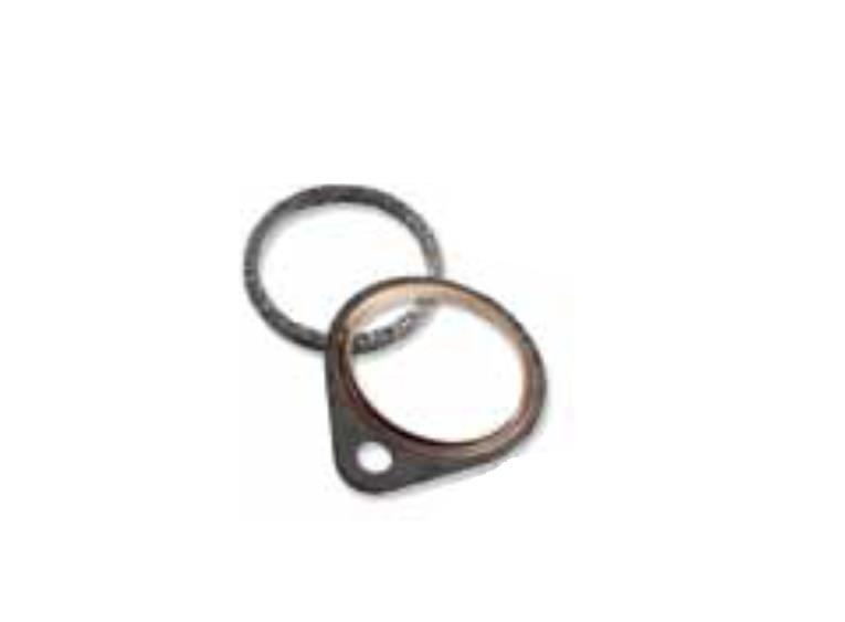 Exhaust Pipe Gasket