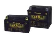 Factory Activated Maintenance Free Battery - YTX12