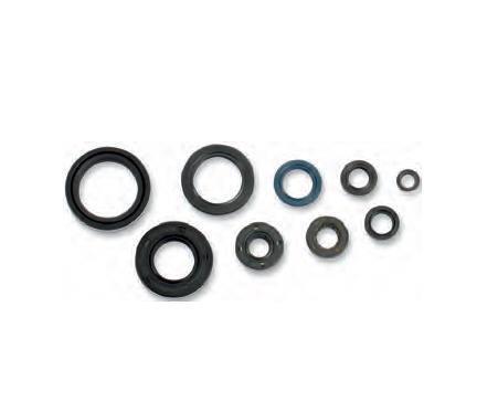 Complete Oil Seal Kit