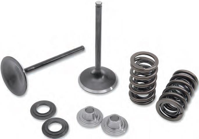 Stainless Steel Conversion Valve and Spring Kit