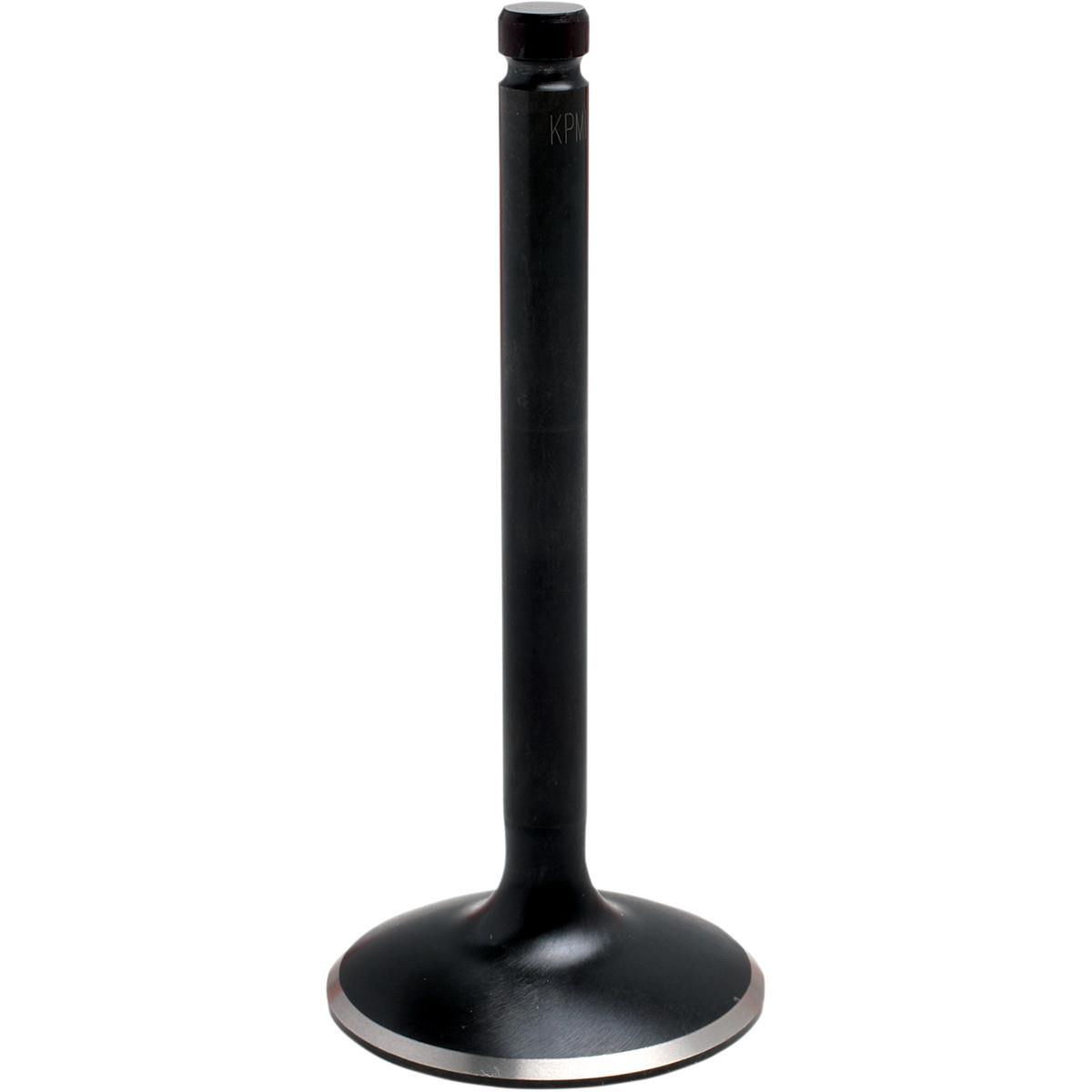 Black Diamond Intake Valve (+1.00)