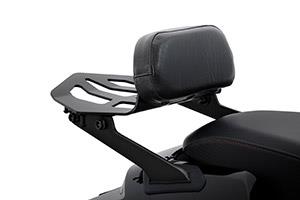 Passenger Backrest with Rear Carrier