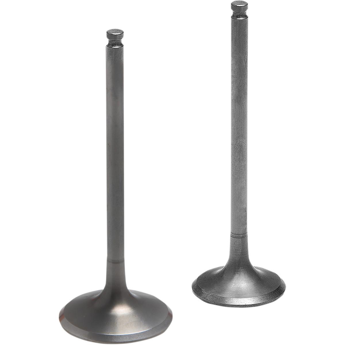 Tensillite Titanium Intake Valve