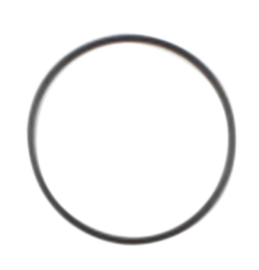 Starter O-Ring