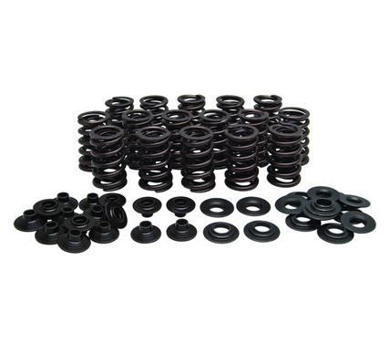 Valve Spring Kit