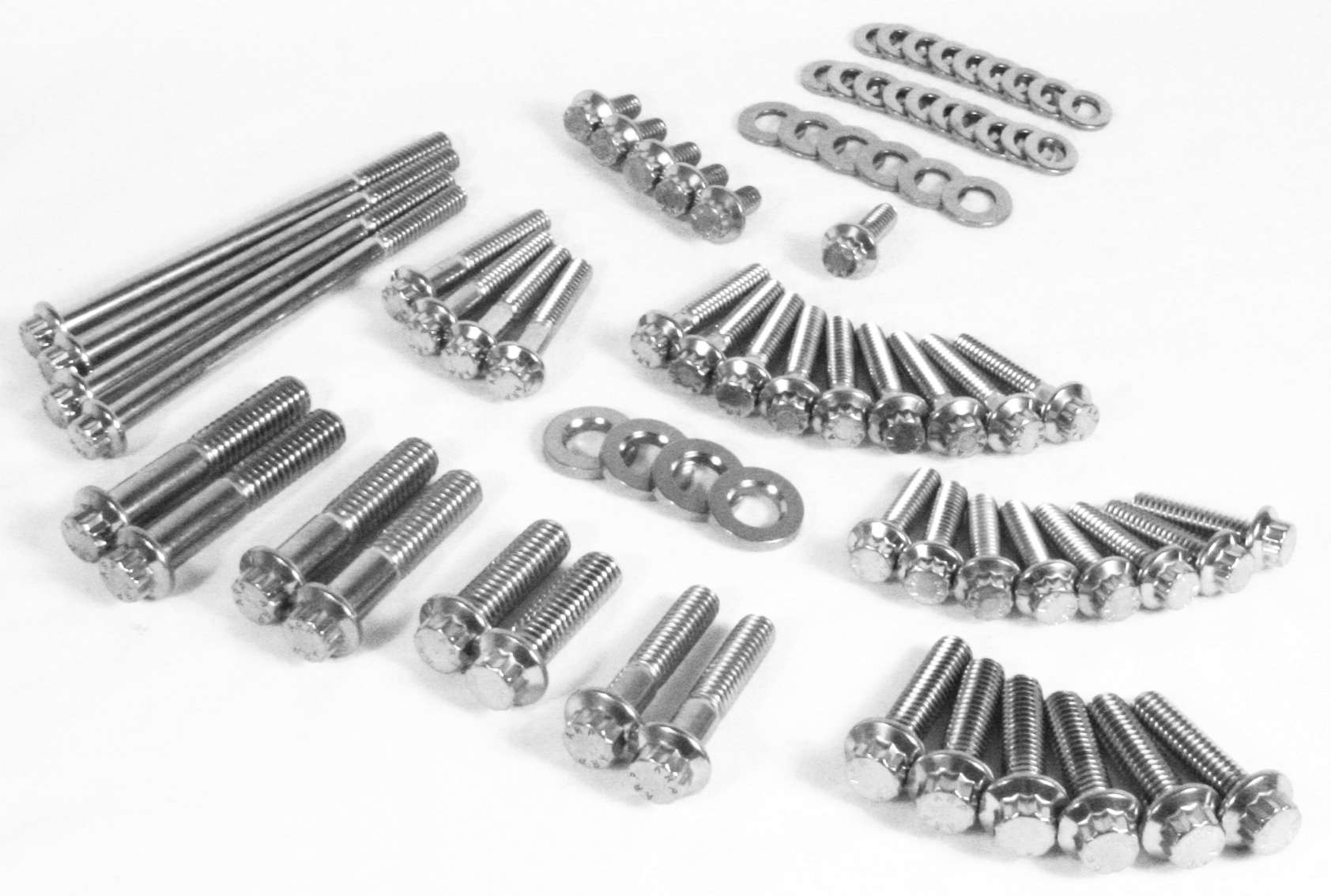 Primary and Transmission 12 Point Bolt Kit