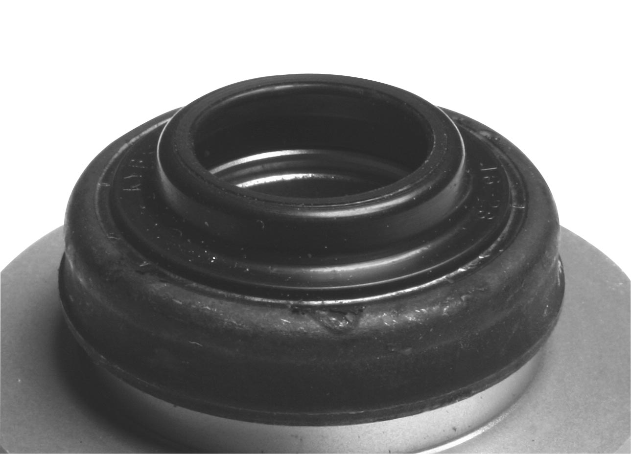 Shock Seal Case Dust Seal