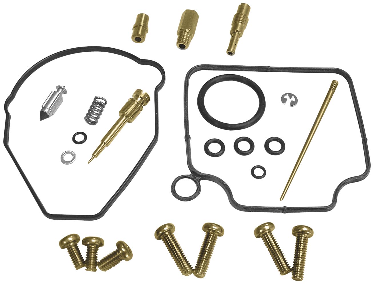 Carburetor Repair Kit