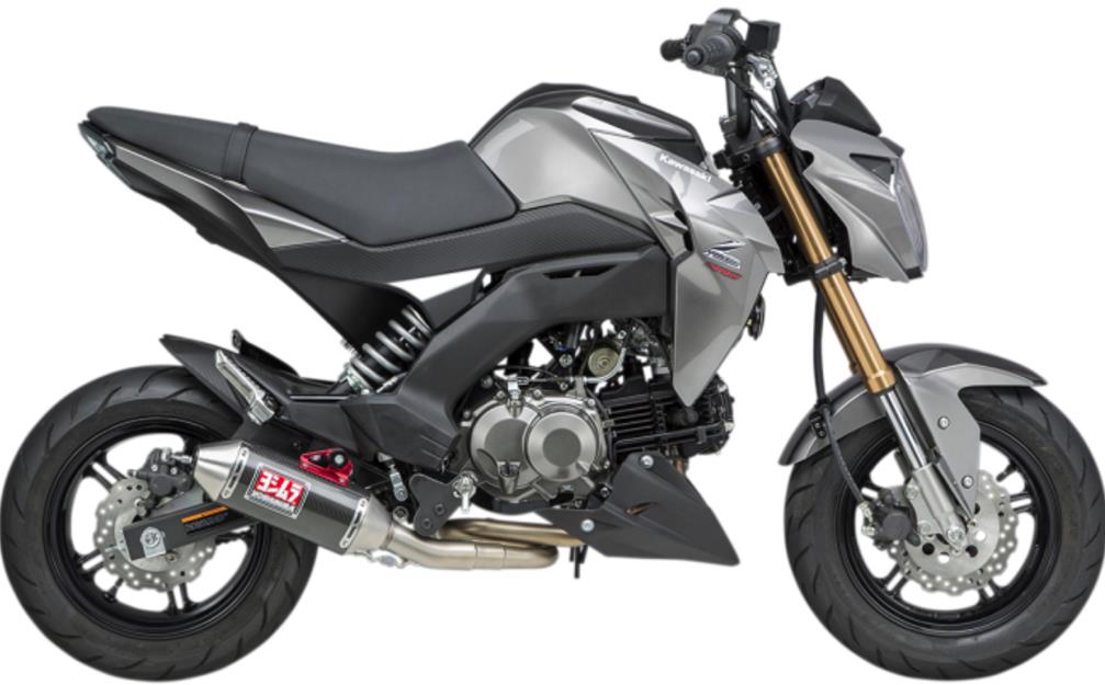 RS-2 Race Series Works Finish Full System - Carbon Fiber Muffler