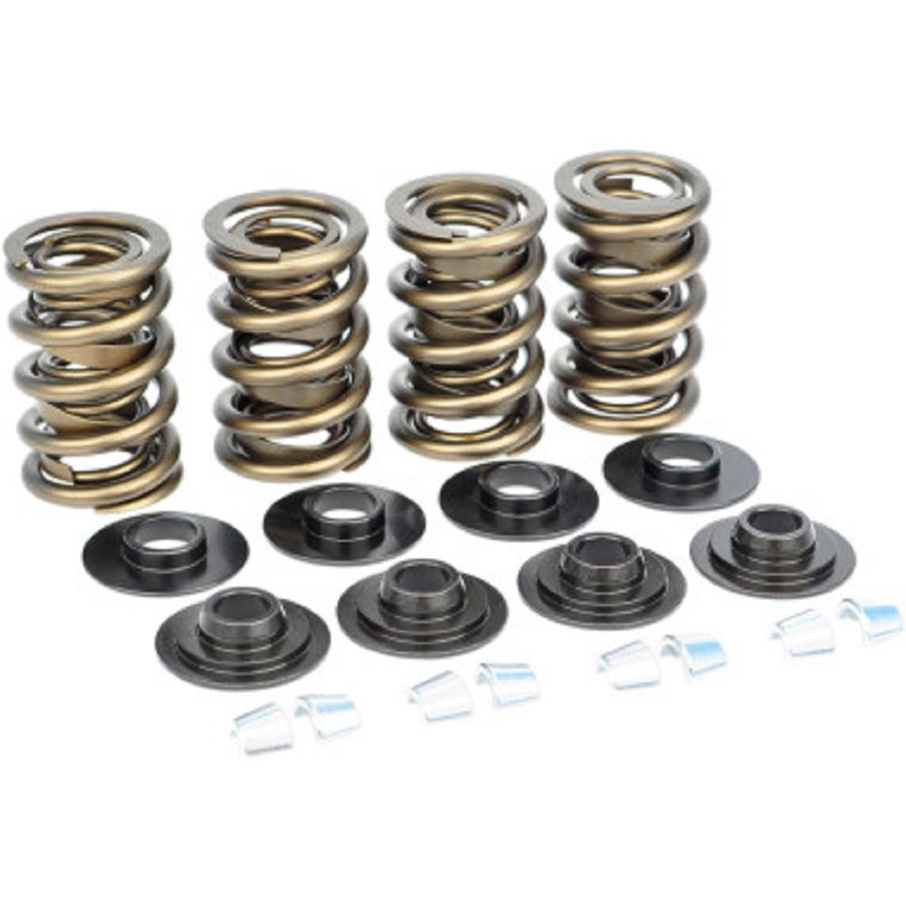 Dual Valve Spring Kit