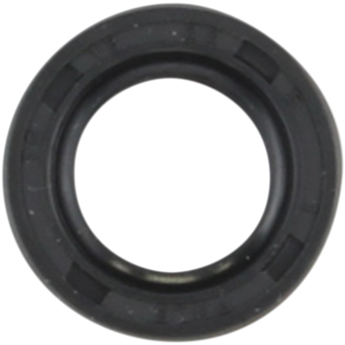 Shift Shaft Seal