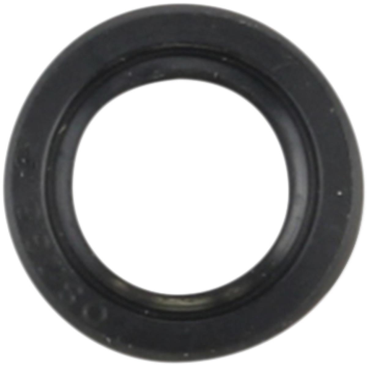 Shift Shaft Seal