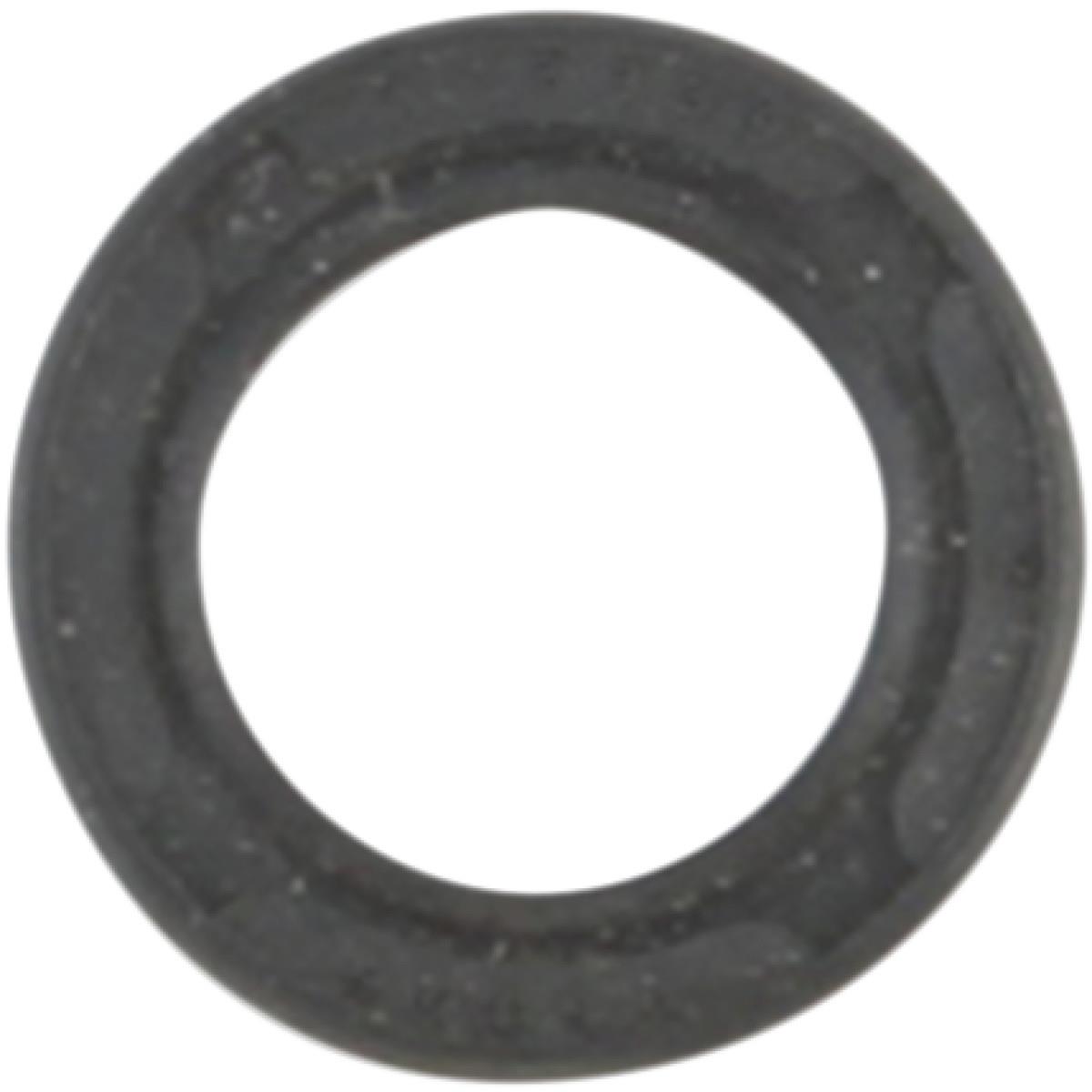 Shift Shaft Seal