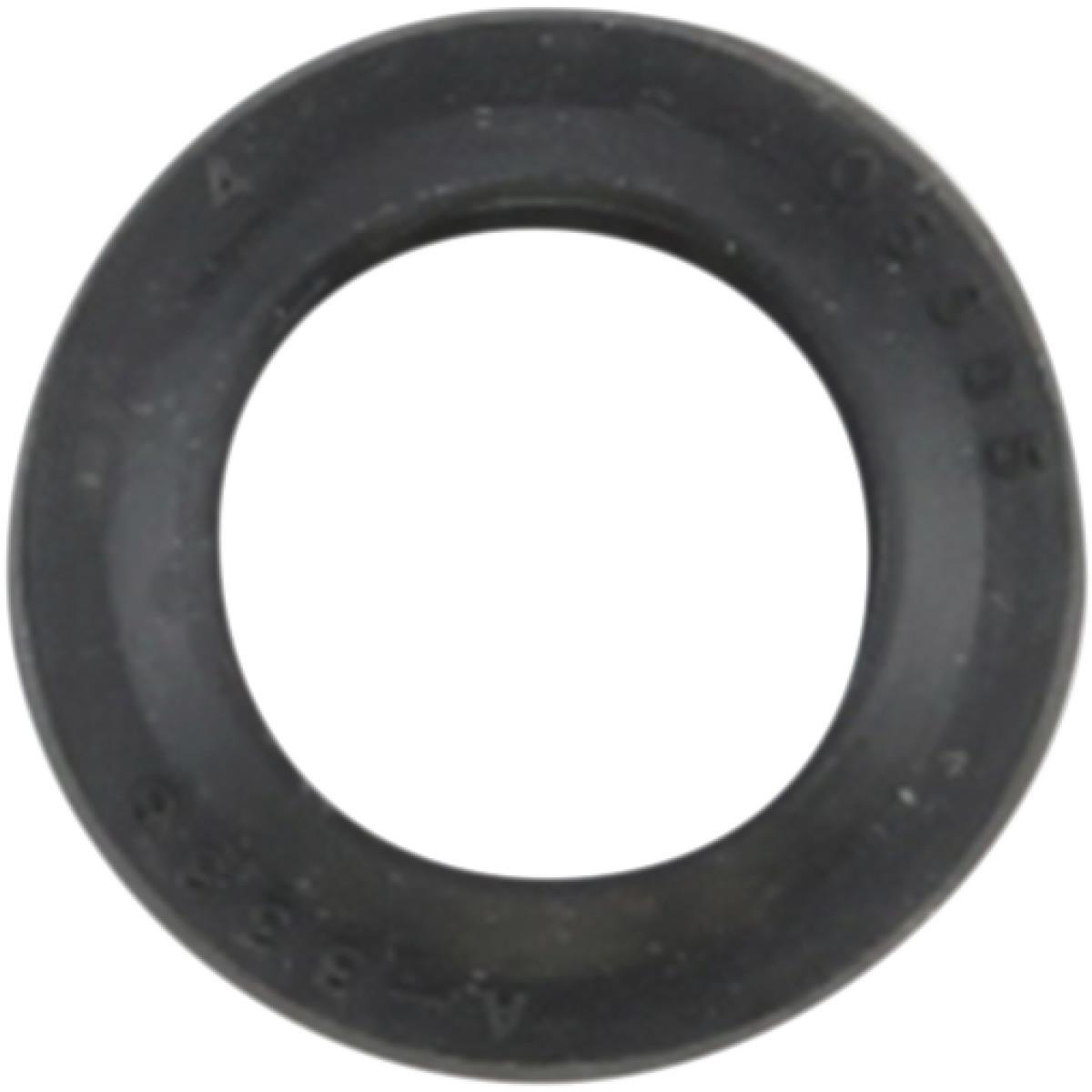 Shift Shaft Seal
