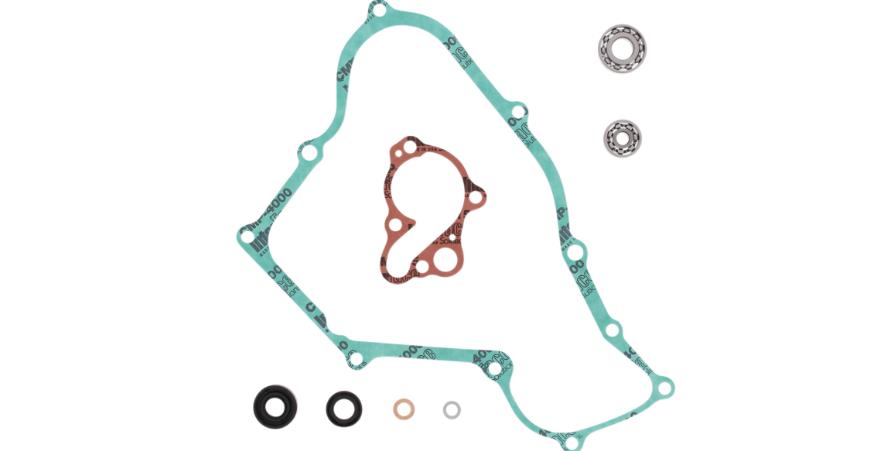Water Pump Rebuild Kit