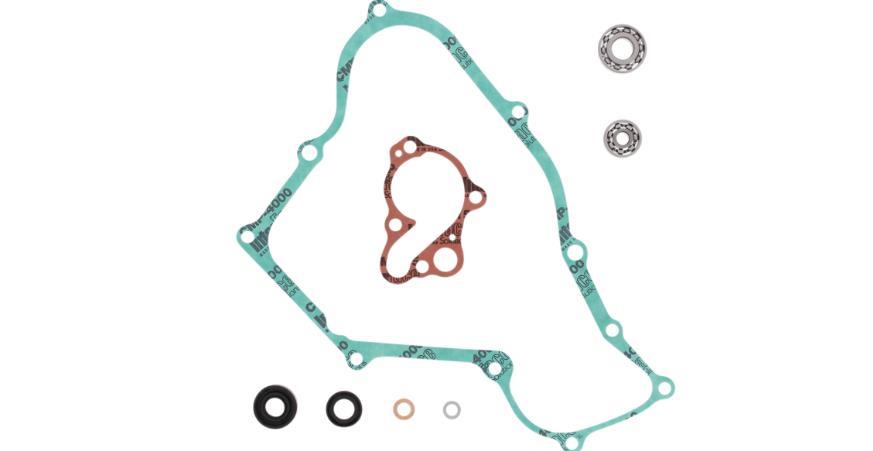 Water Pump Rebuild Kit