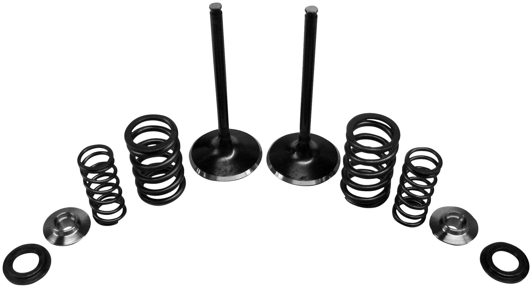 Intake Only Stainless Conversion Valve/Spring Kit
