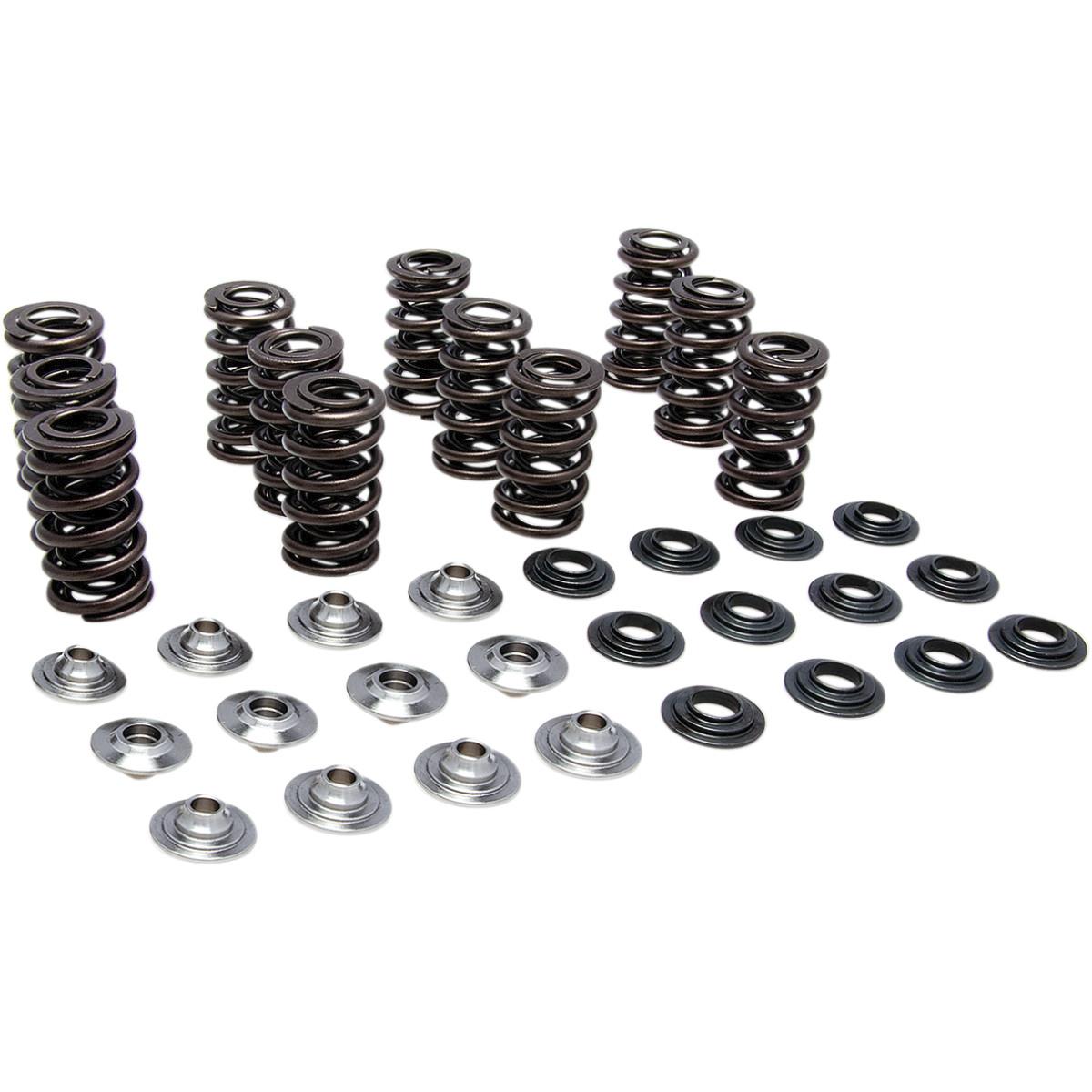 Complete Valve Spring Kit