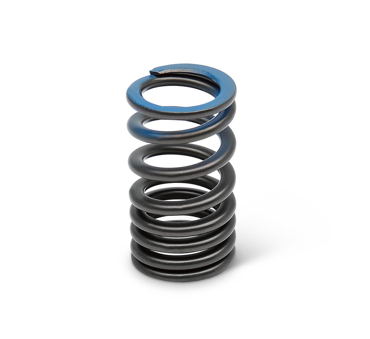 Exhaust Valve Spring