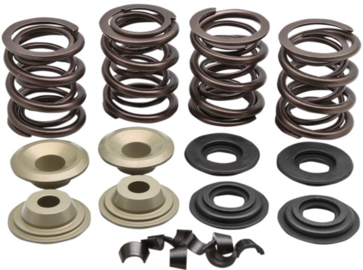 Complete Valve Spring Kit - .600in. Lift
