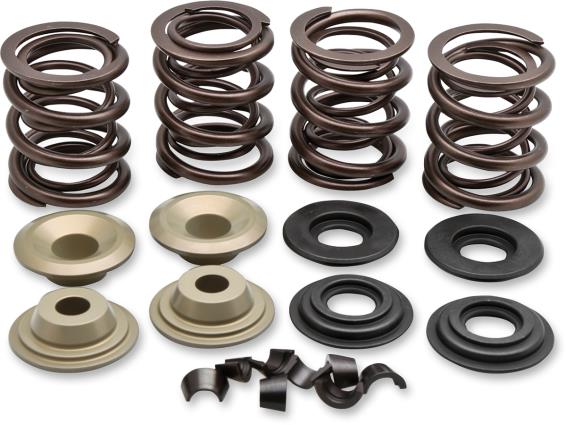 Complete Valve Spring Kit - .600in. Lift