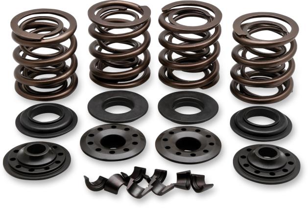 Complete Valve Spring Kit - .415in. Lift
