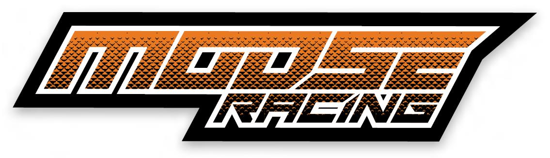 Moose Racing Pattern Decals - 1/48in. H x 6in. L