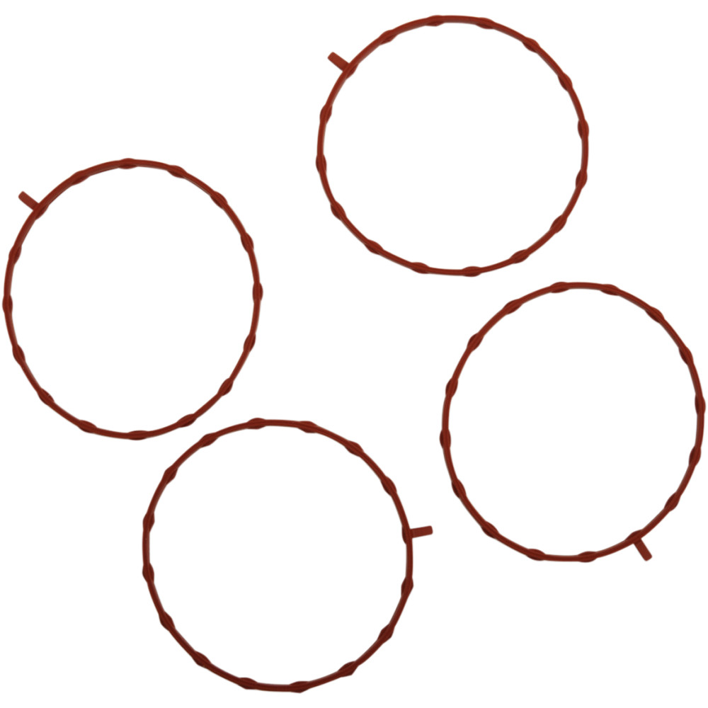 Manifold to Throttle Body Seal