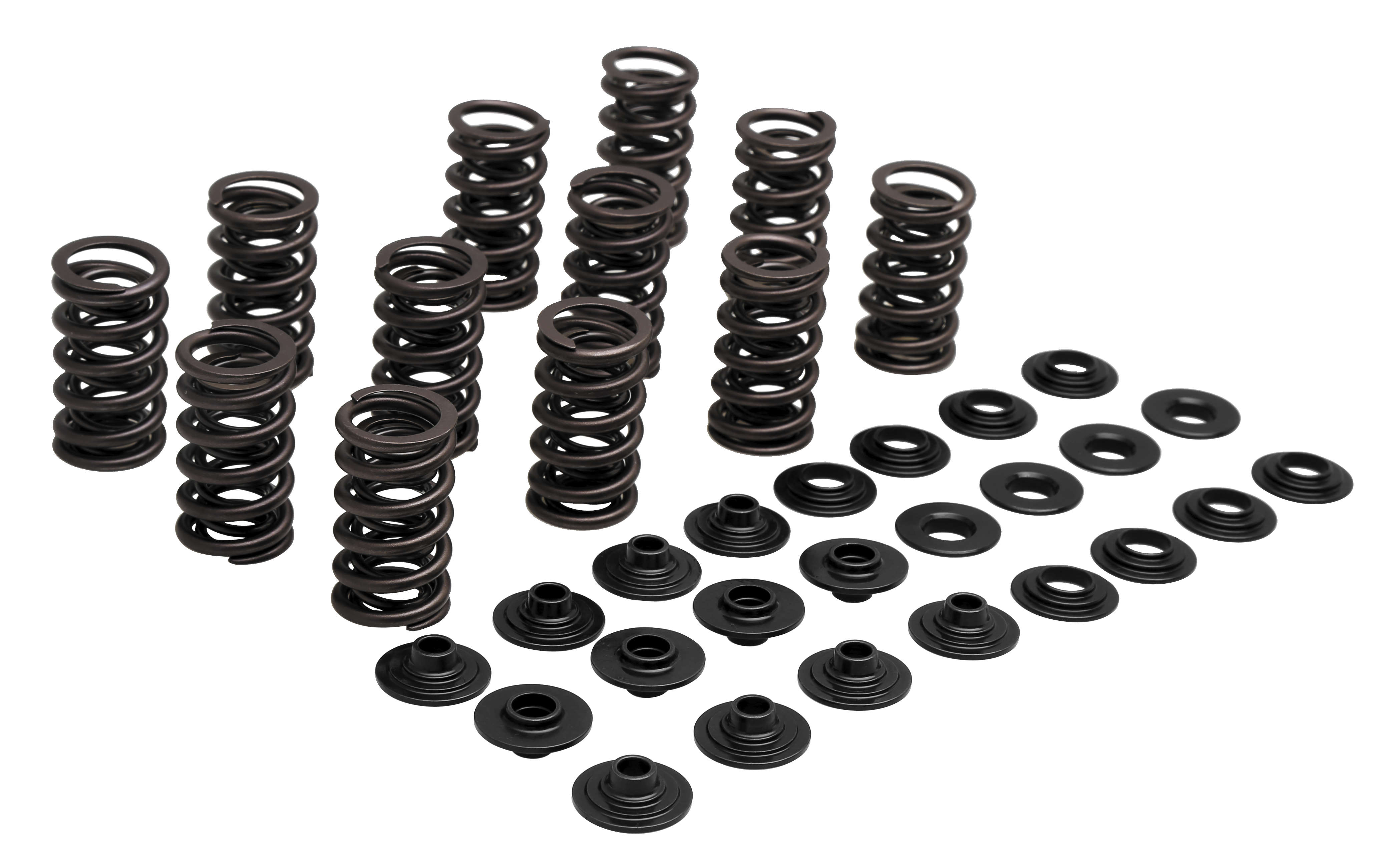 Valve Spring Kit