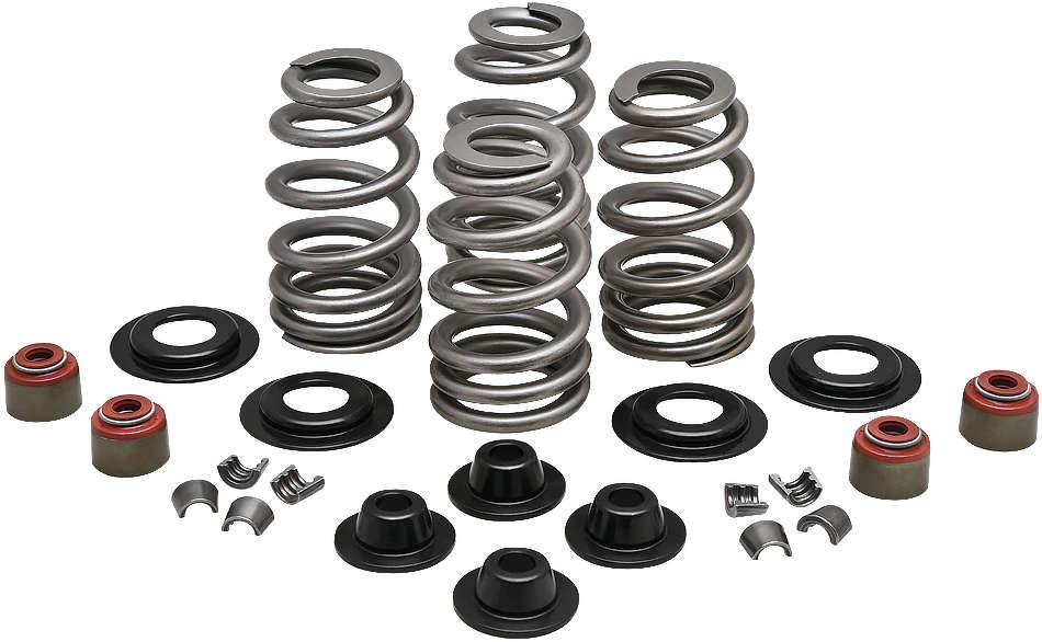 Performance Rebuild Ovate Wire Beehive Valve Spring Kits - .610in.