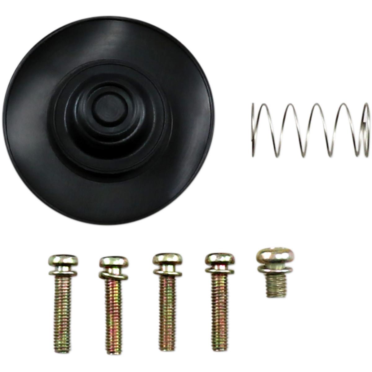 Diaphragm Only Kit