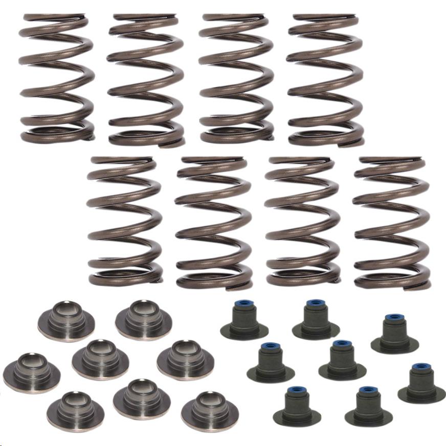 Beehive Valve Spring Kit - 540in. Lift