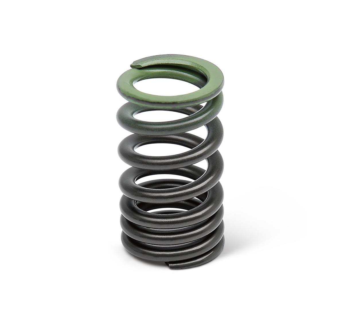 Intake Valve Spring
