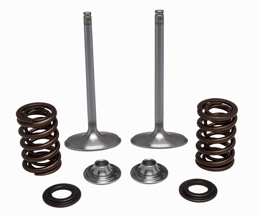 Intake Only Stainless Conversion Valve/Spring Kit