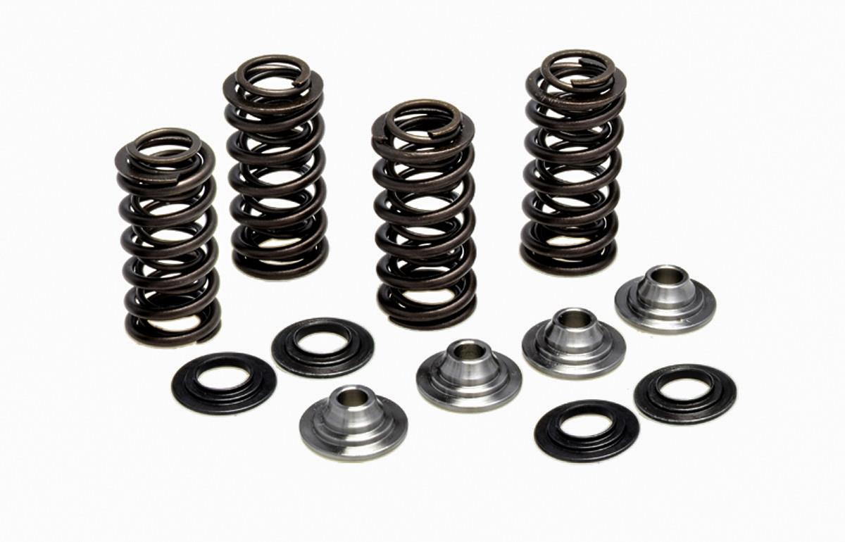 Valve Spring Kit