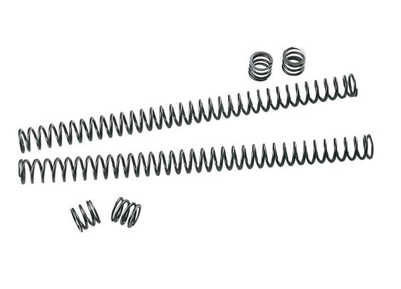 Triple-Rate Fork Spring Kit