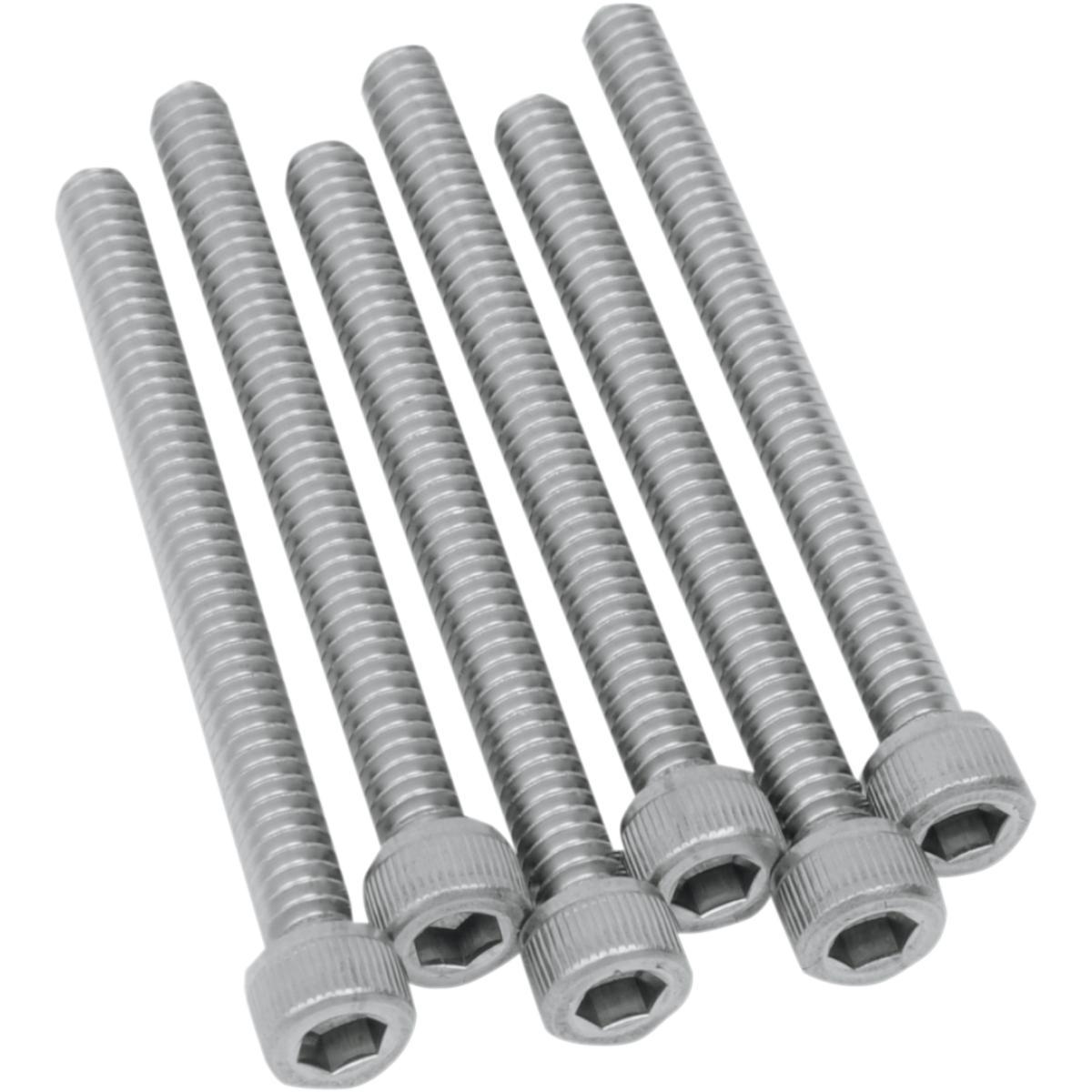 Stainless Steel Bolts - 6 Pack