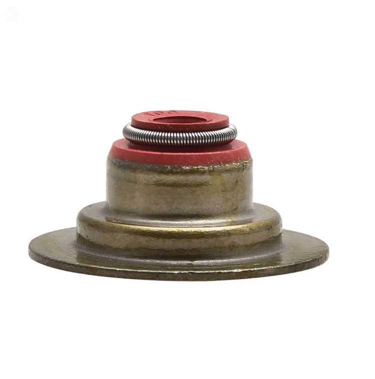 Valve Guide Seals - 50pk.